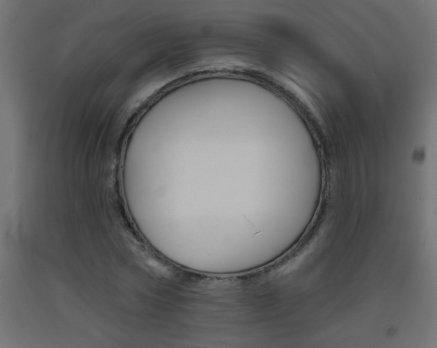 X0000093450778200710121005