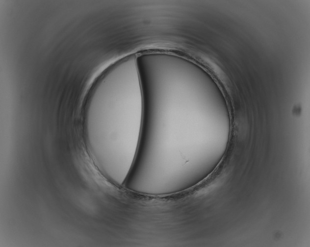 X0000093450779200710121005