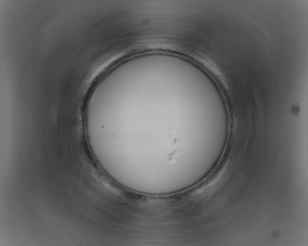 X0000093450782200710121005
