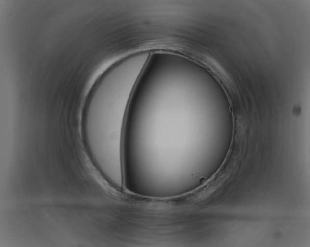 X0000093450788200710121005