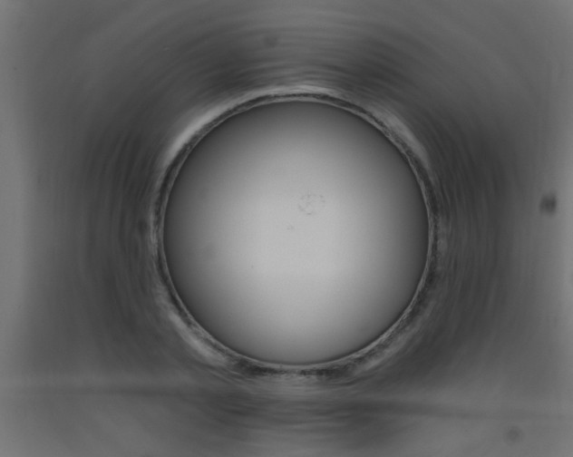 X0000093450789200710121005