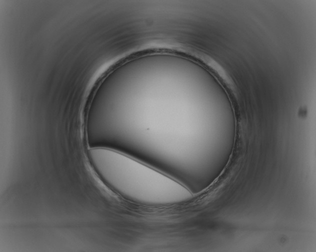X0000093450791200710121005