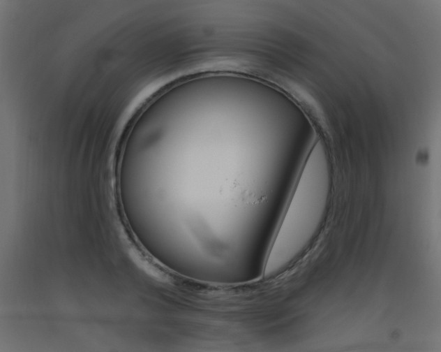 X0000093450792200710121005
