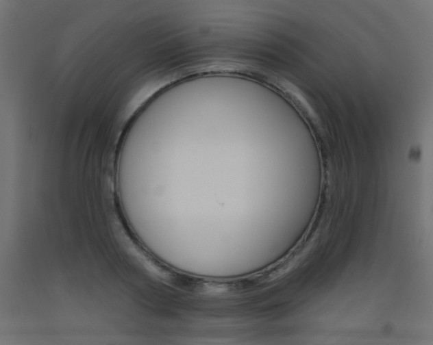 X0000093450794200710121005