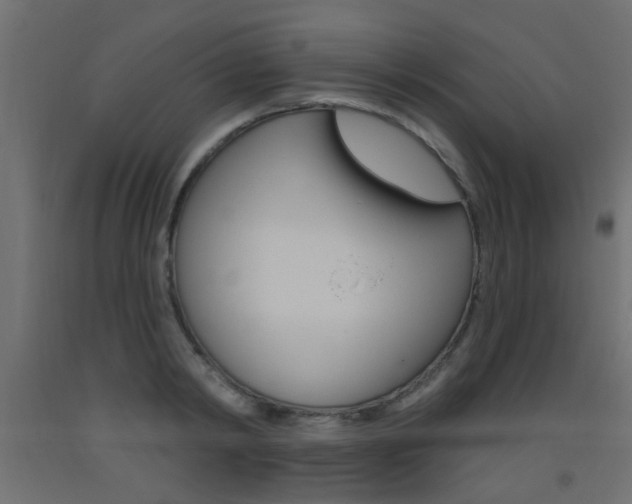 X0000093450798200710121005