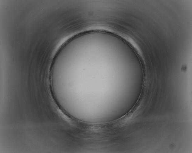 X0000093450799200710121005