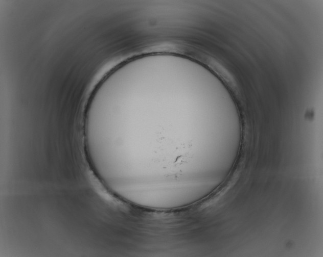 X0000093450800200710121005