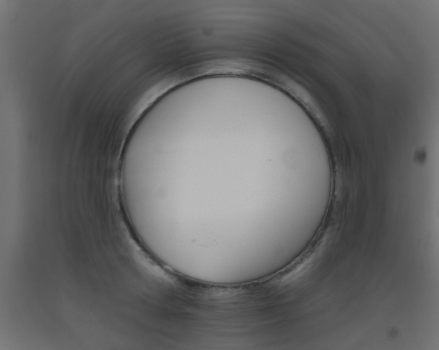 X0000093450802200710121005