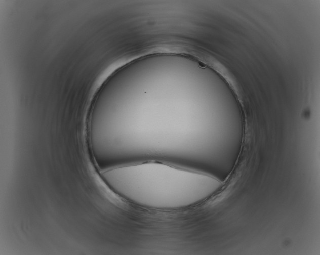 X0000093450803200710121004