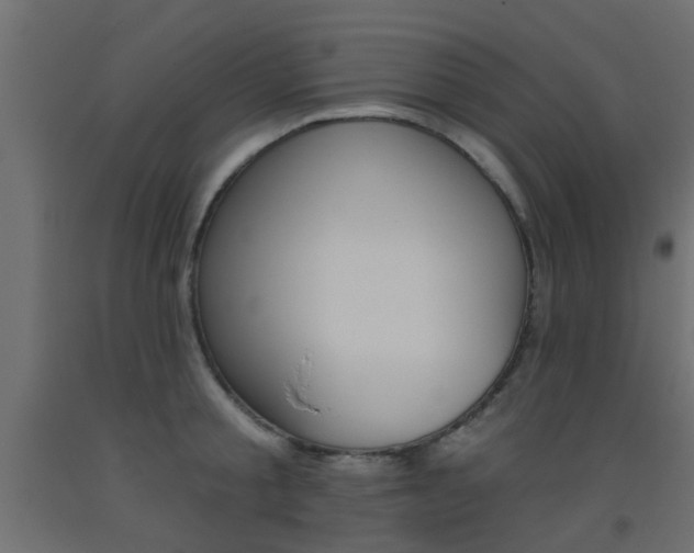 X0000093450805200710121004