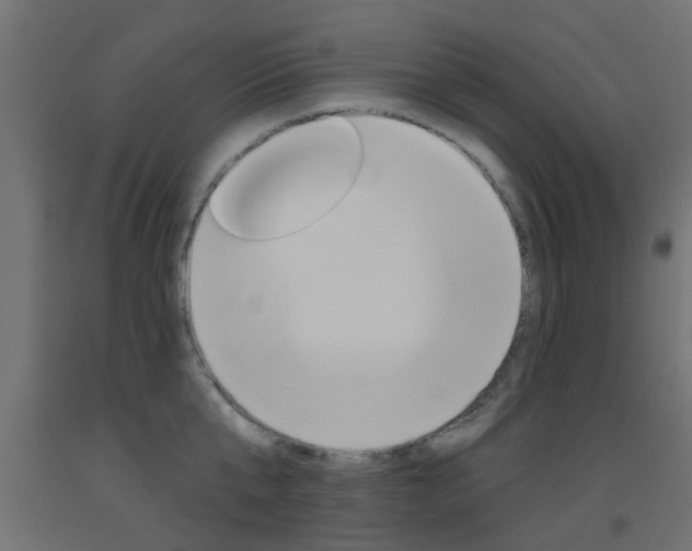 X0000093450807200710121004
