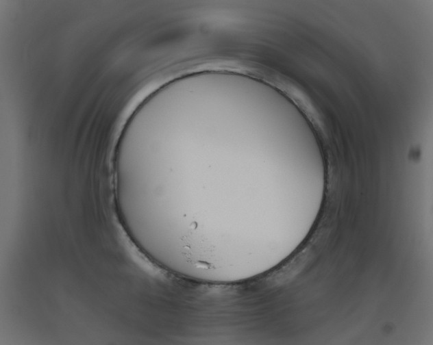 X0000093450808200710121004