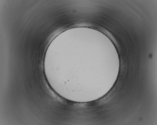 X0000093450810200710121004