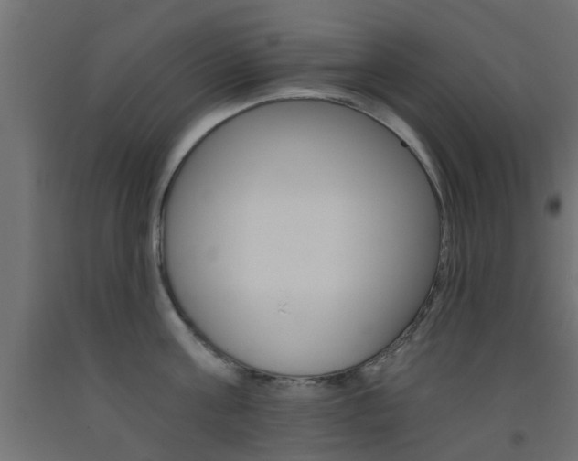 X0000093450811200710121004