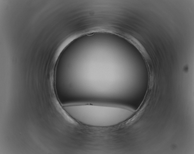 X0000093450812200710121004