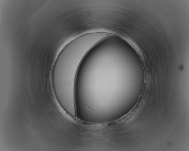 X0000093450813200710121004