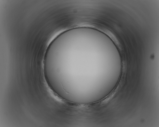 X0000093450814200710121004