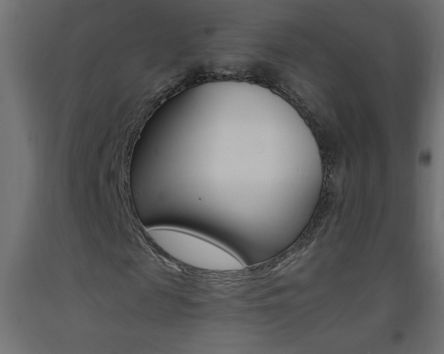 X0000093450817200710121004