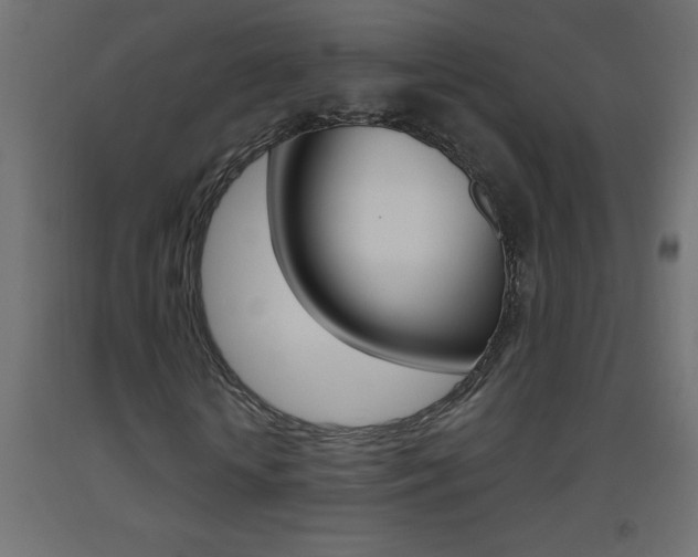 X0000093450818200710121004