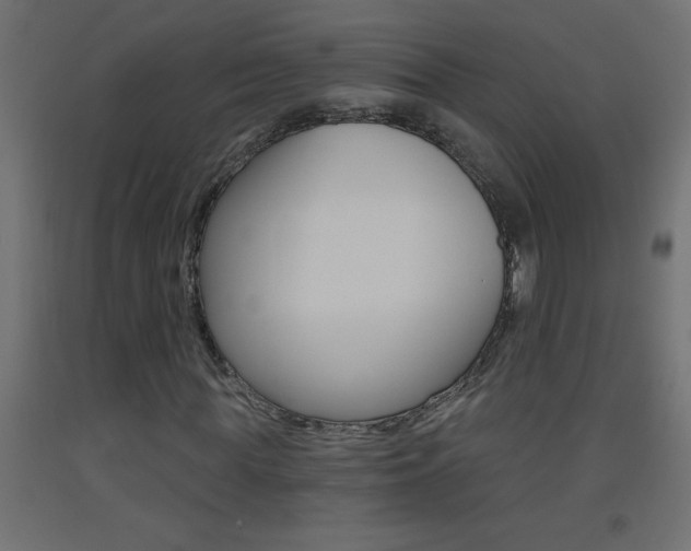 X0000093450819200710121004
