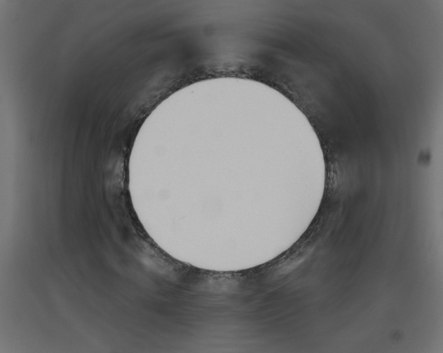 X0000093450820200710121004