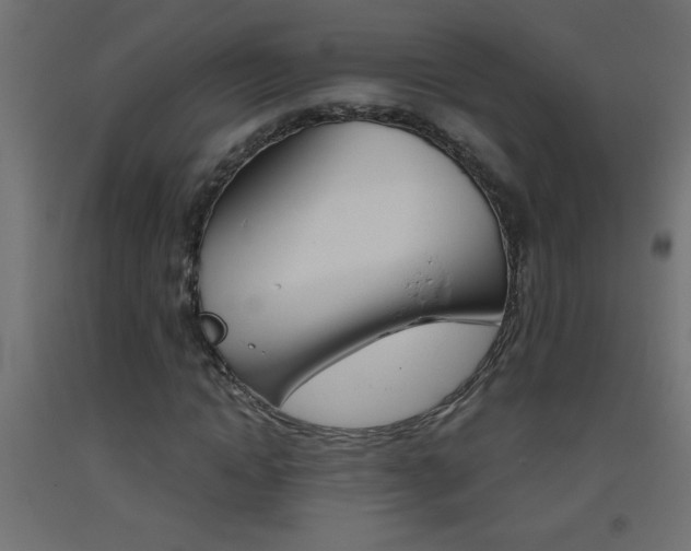 X0000093450822200710121004