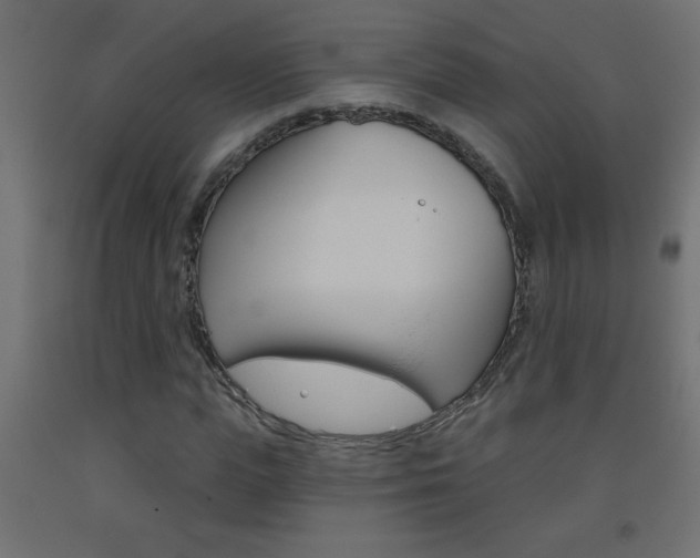 X0000093450823200710121004