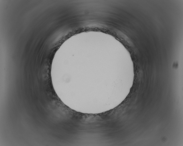 X0000093450824200710121004