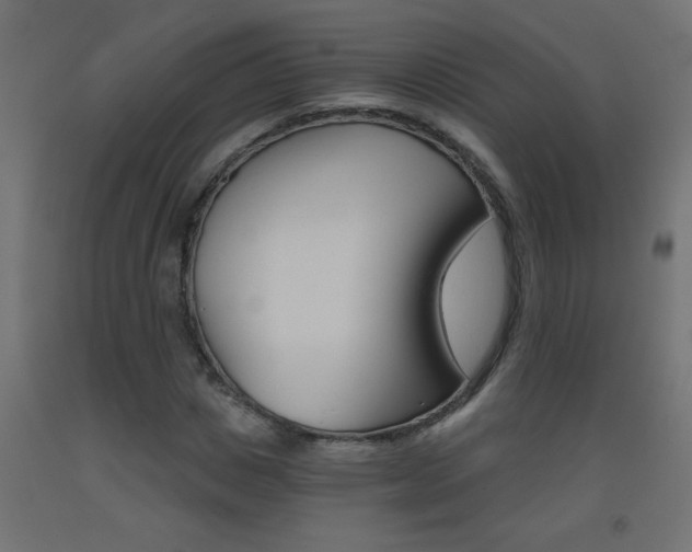 X0000093450825200710121004