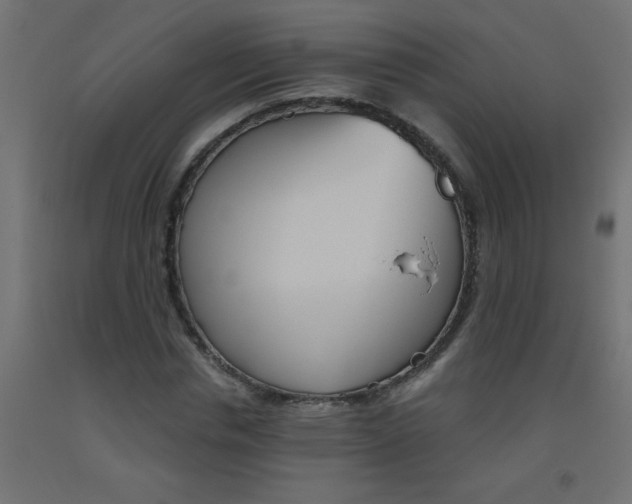 X0000093450826200710121004