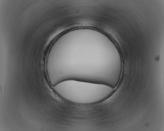 X0000093450827200710121004