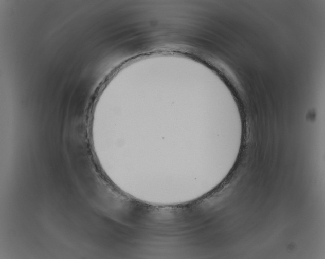 X0000093450828200710121004