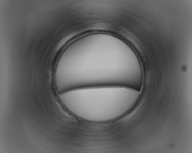 X0000093450829200710121004