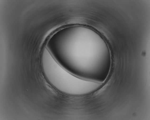X0000093450830200710121004