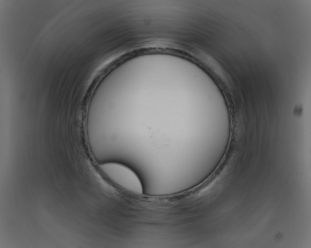X0000093450831200710121004