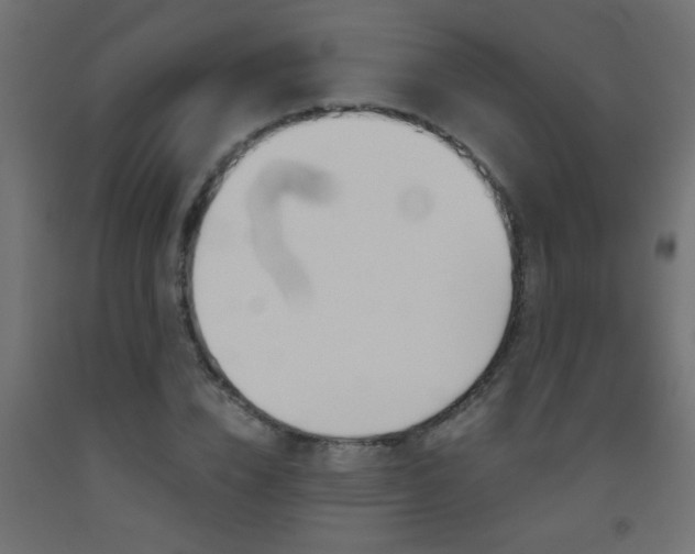 X0000093450832200710121004