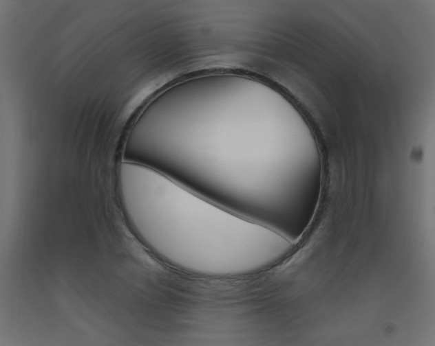 X0000093450834200710121004