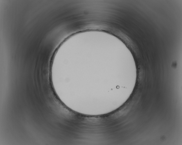 X0000093450836200710121004