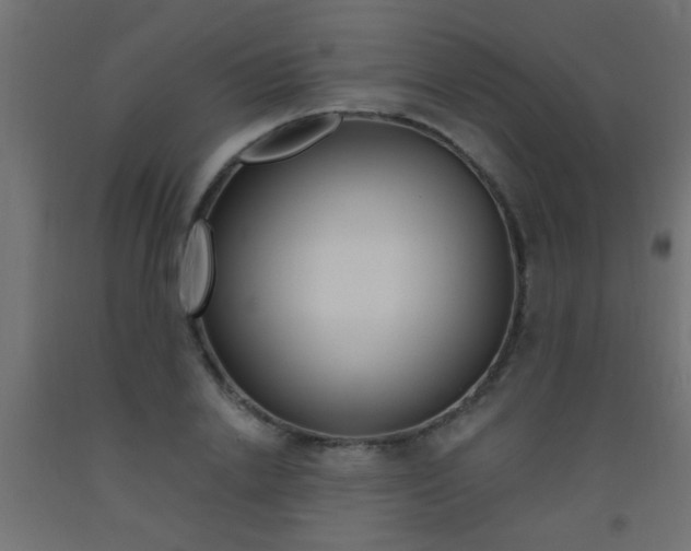 X0000093450838200710121004