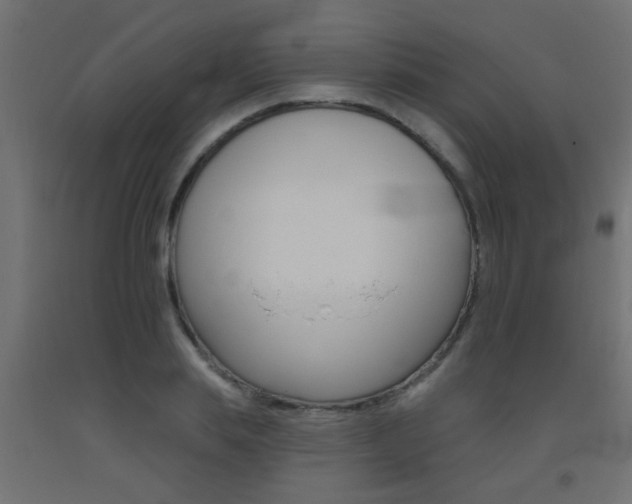 X0000093450839200710121004