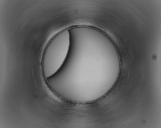 X0000093450840200710121004