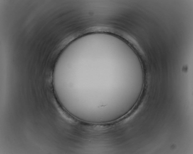 X0000093450841200710121004