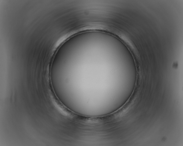 X0000093450842200710121004