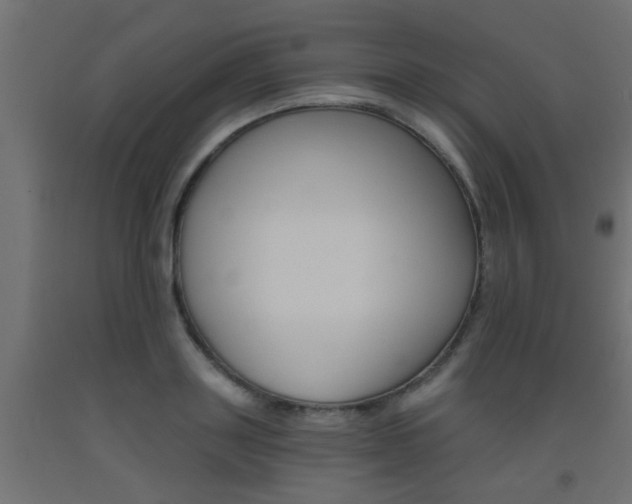 X0000093450843200710121004