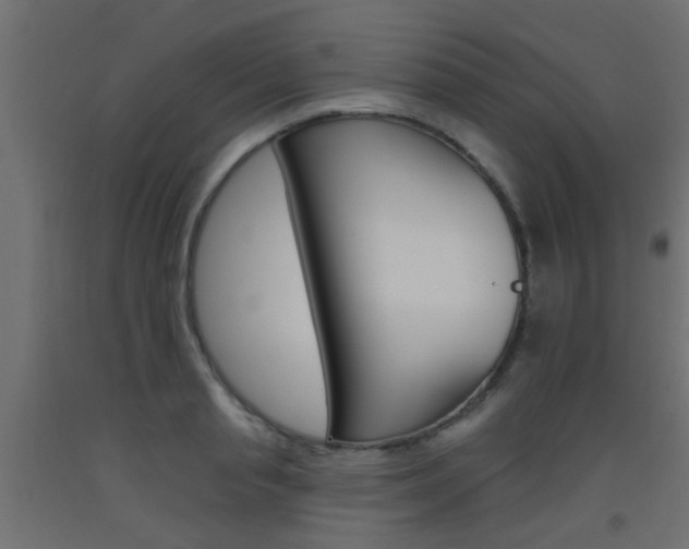 X0000093450845200710121004
