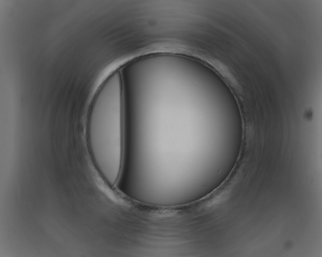 X0000093450846200710121004