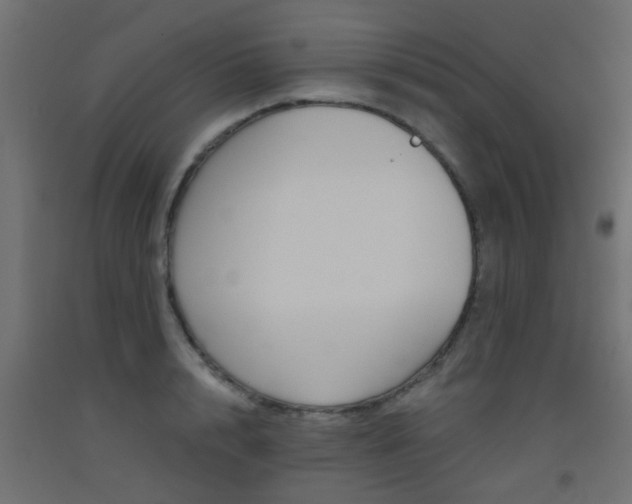 X0000093450848200710121004