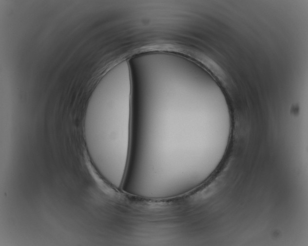X0000093450849200710121004