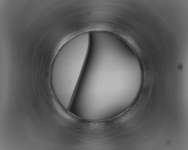 X0000093450850200710121004