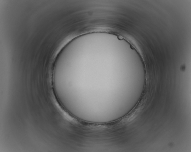 X0000093450851200710121004
